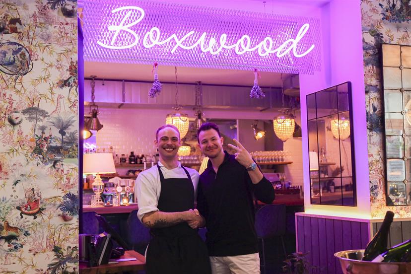 ©boxwood_gadnik